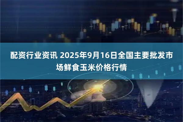 配资行业资讯 2025年9月16日全国主要批发市场鲜食玉米价格行情