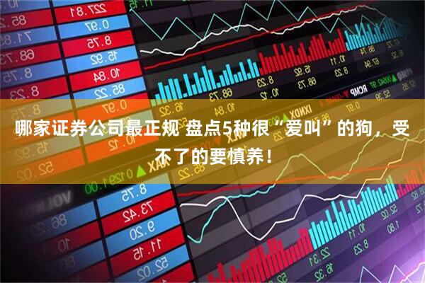 哪家证券公司最正规 盘点5种很“爱叫”的狗，受不了的要慎养！